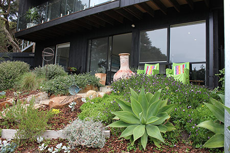 The garden outside the apartment